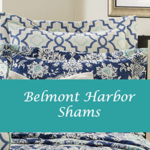 Belmont Harbor Shams