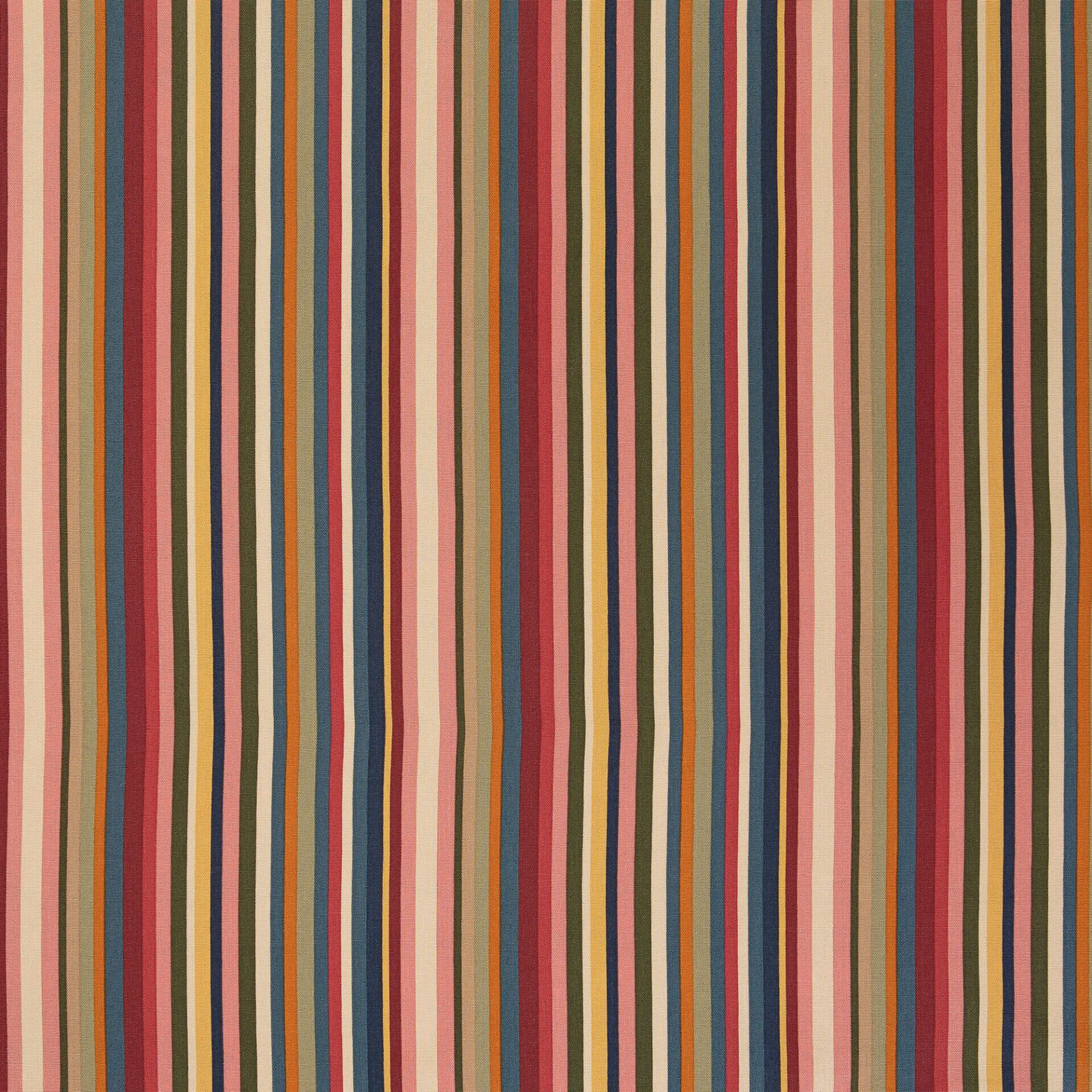 Queensland Stripe Fabric By the Yard Thomasville at Home