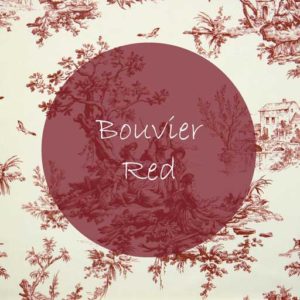 Bouvier Red