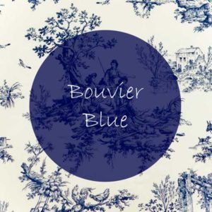 Bouvier Blue