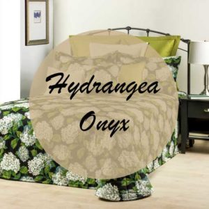 Hydrangea Onyx